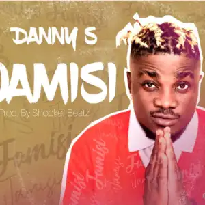 Danny S - Jamisi